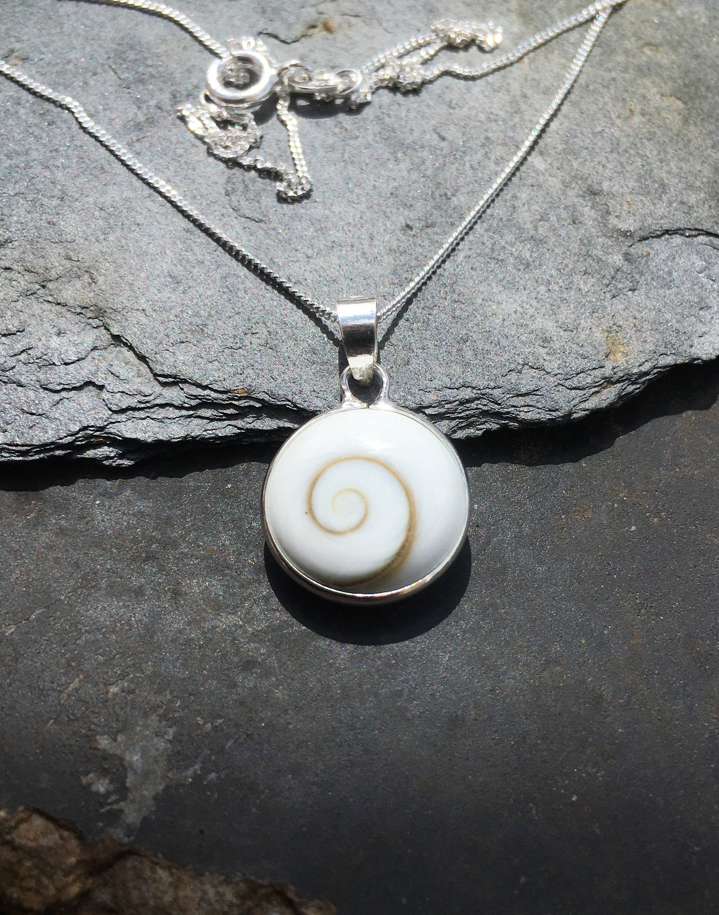 SE137B - ROUND SHIVA EYE SHELL EARRING 12MM DIA