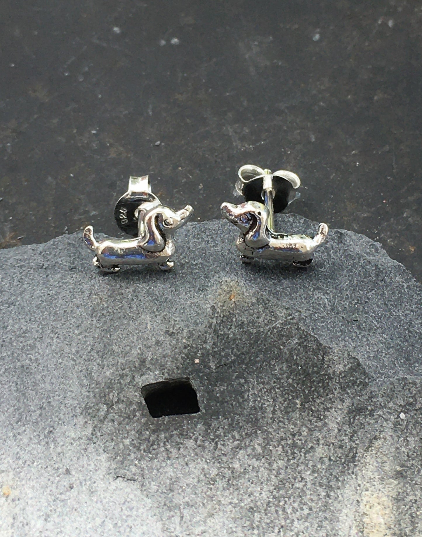 S435B - Dachshund Stud