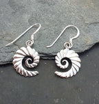 Ammonite Earrings