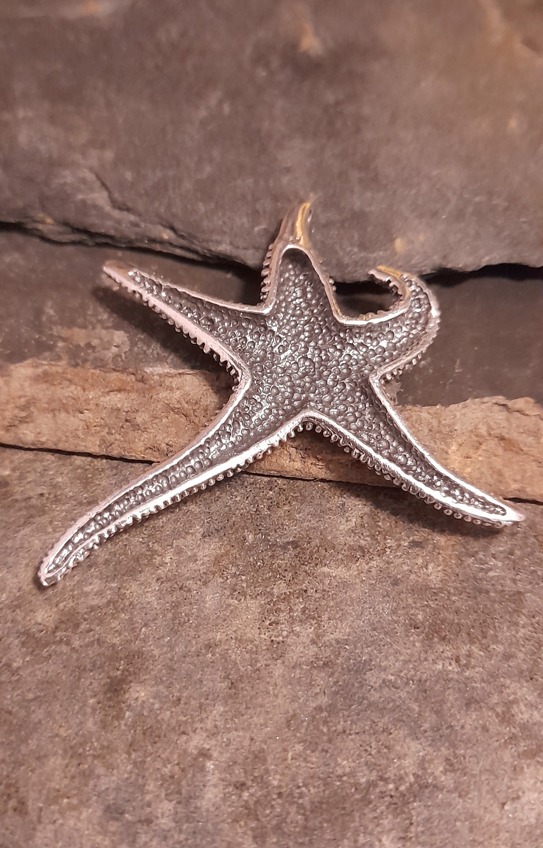 Large Textured Starfish 40 X 45mm