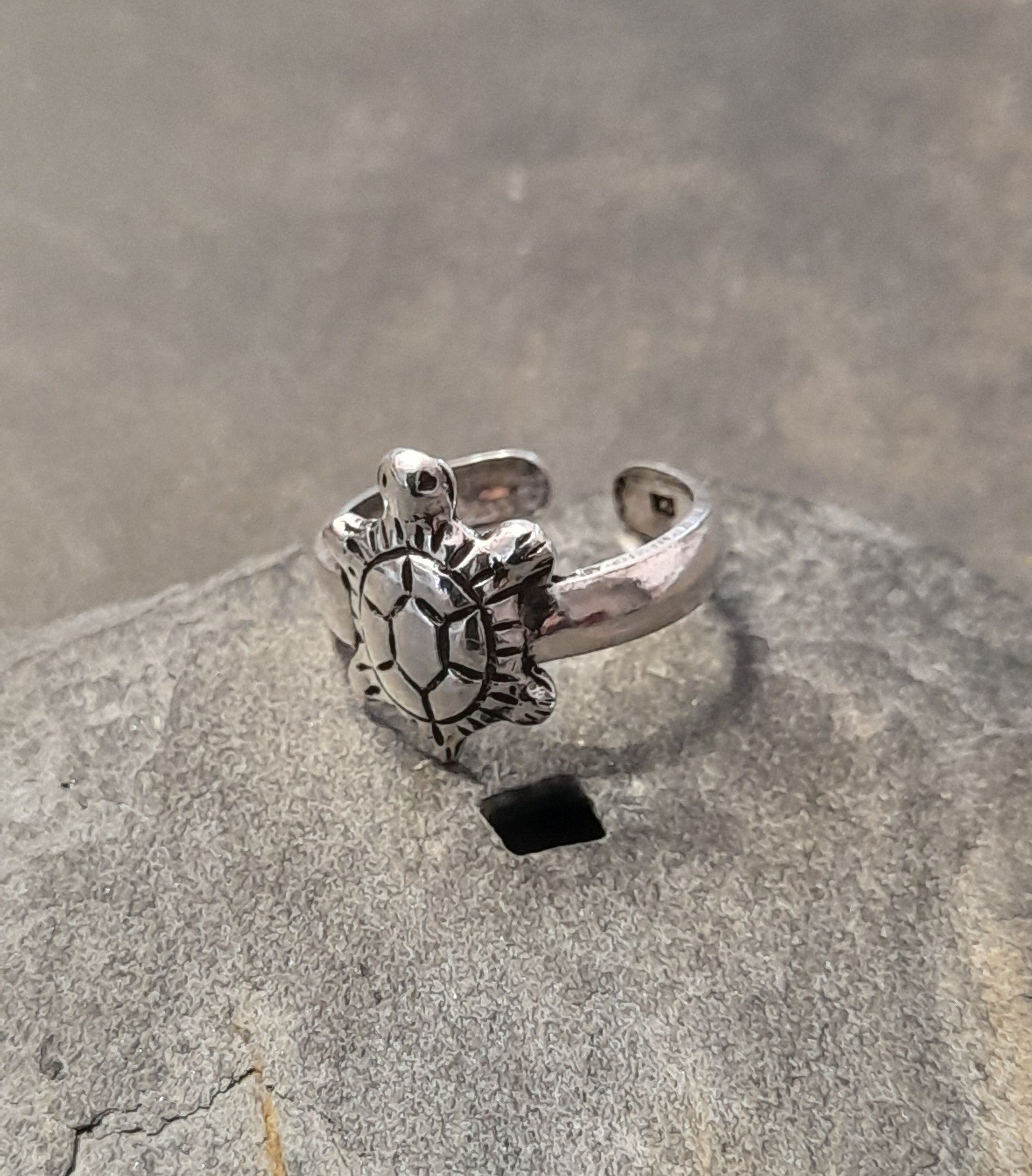 Turtle T/Ring Un-Boxed