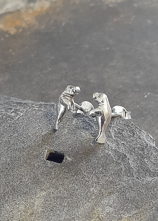 SS678B - 10 X 4 MM SEA LION STUD