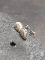 Oval Shiva Stud 8X6mm