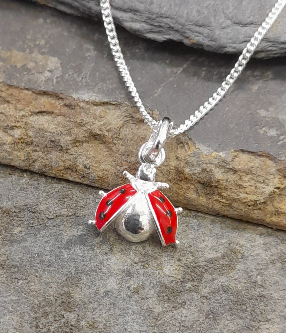 Ladybird Pendant & Chain