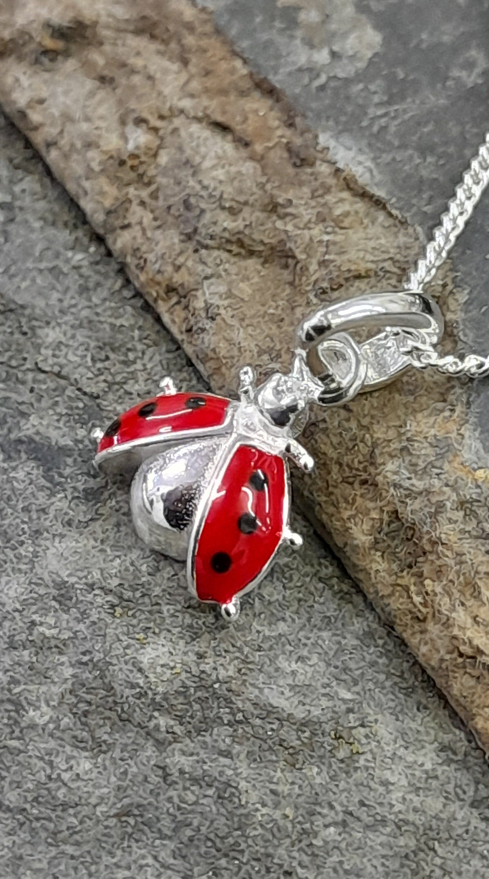 Ladybird Pendant & Chain