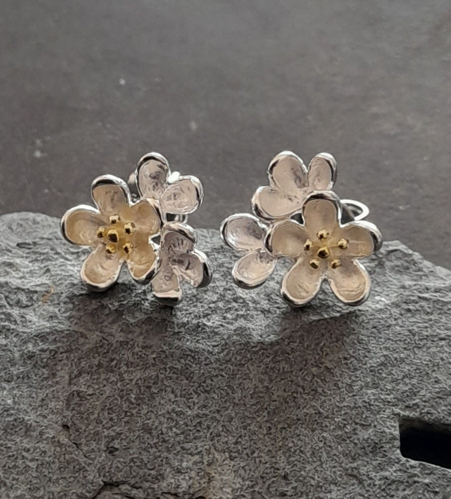 SS768B - Brushed silver plate 2 flower stud 12x10m