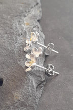 SS768B - Brushed silver plate 2 flower stud 12x10m