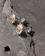 SS781B - Brushed Flower s/plate stud 7mm