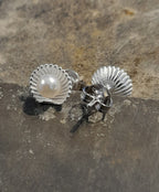 SS836B - PEARL IN SHELL 8MM S/PLATE STUD