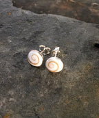 Round Shiva Shell Stud