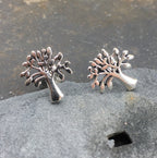 Tree Stud