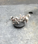 Elephant Stud