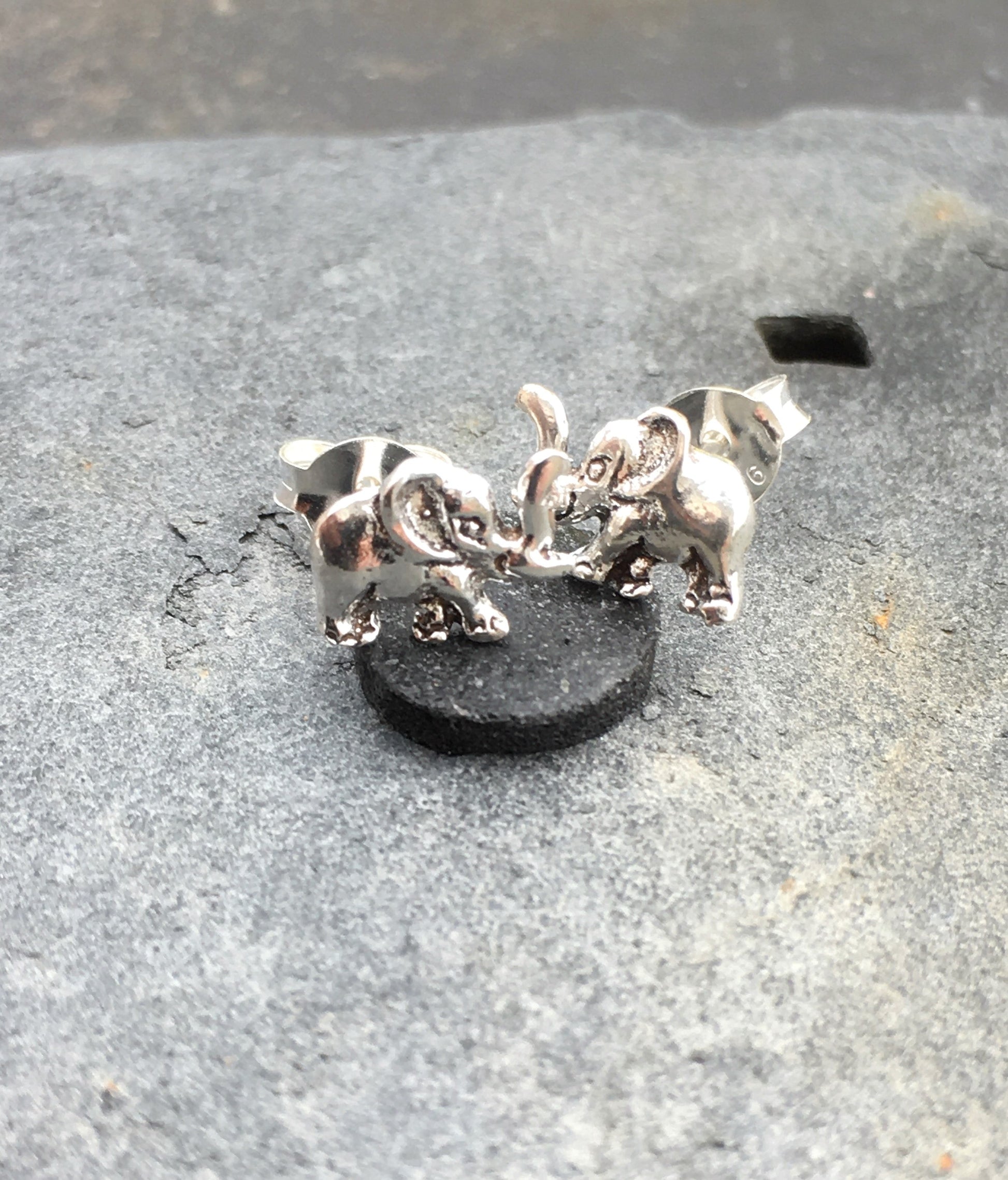 Elephant Stud