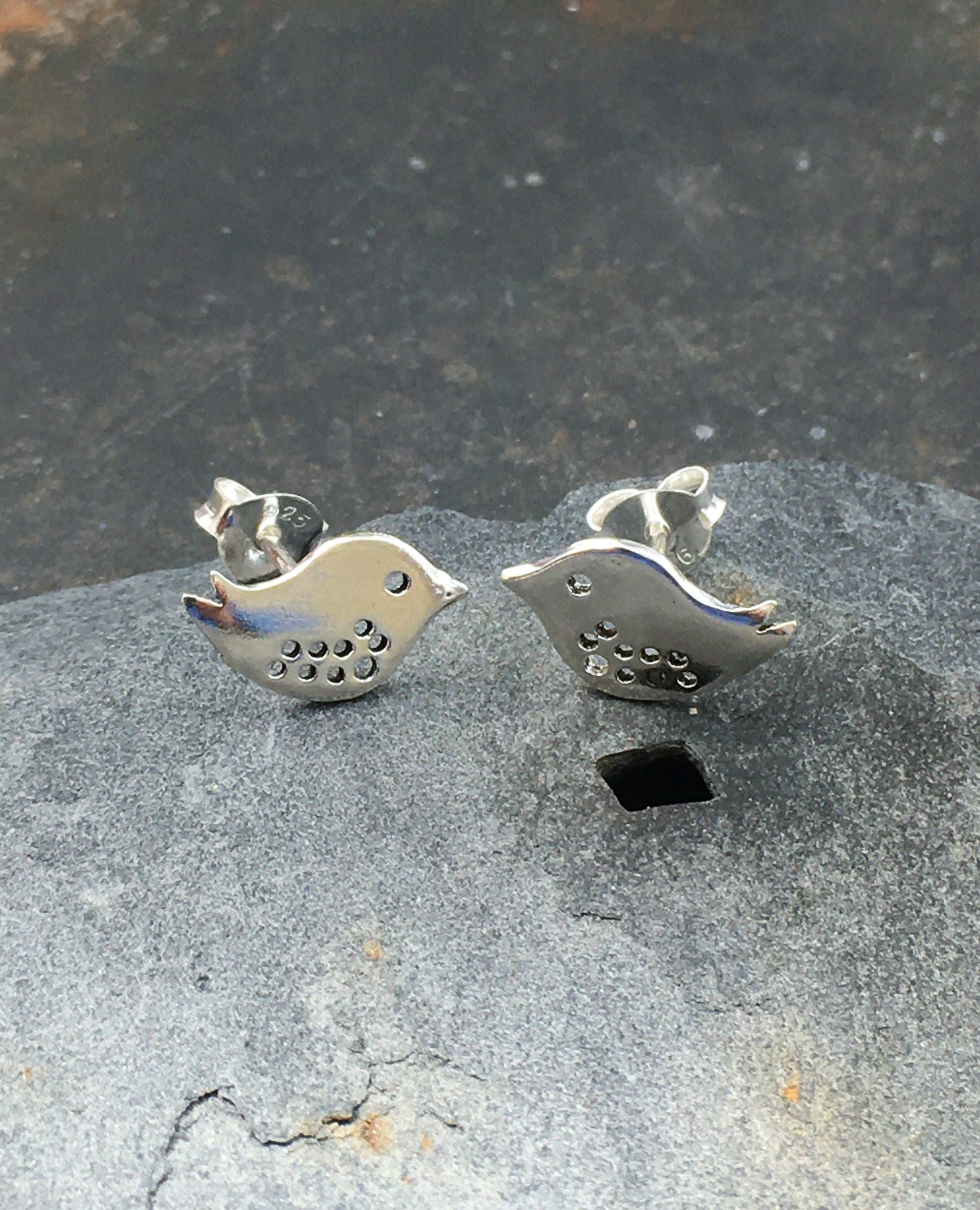 Robin Studs