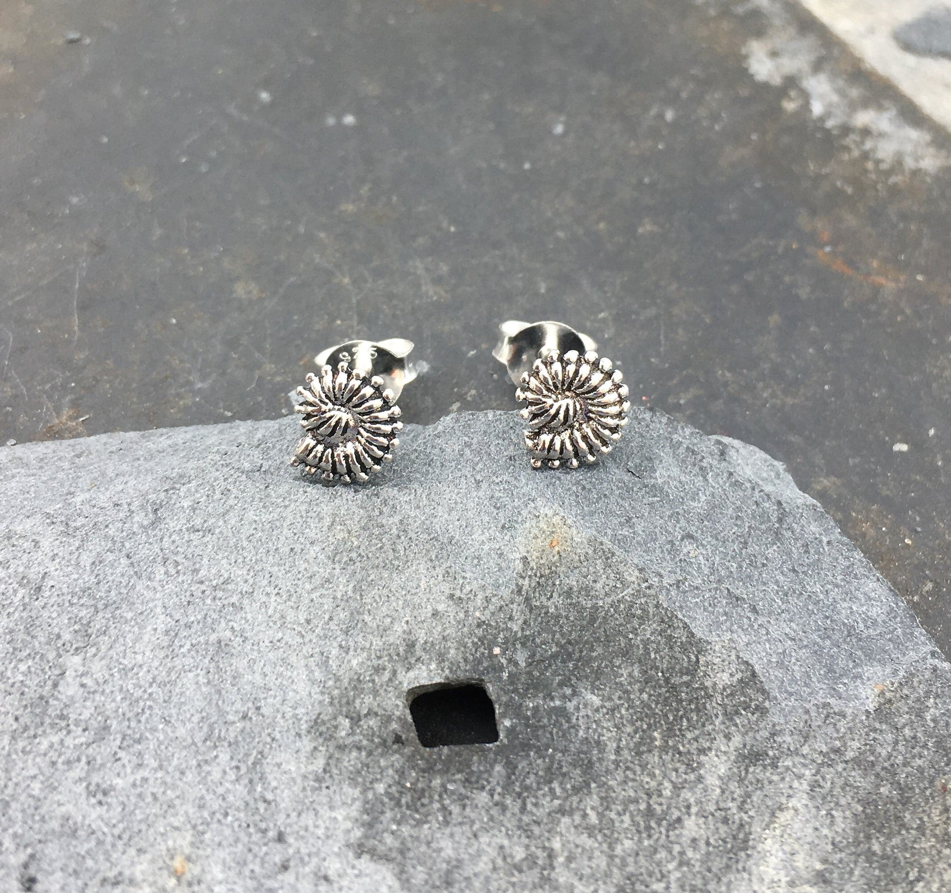 Ammonite Style Stud