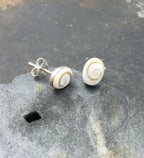 Oval Shiva Eye Shell Stud