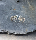 Celtic Tree Stud